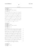 Novel Antibodies and Uses Thereof diagram and image