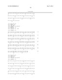 Novel Antibodies and Uses Thereof diagram and image