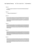 Novel Antibodies and Uses Thereof diagram and image