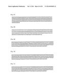 Novel Antibodies and Uses Thereof diagram and image