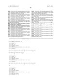 Novel Antibodies and Uses Thereof diagram and image