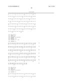 Novel Antibodies and Uses Thereof diagram and image