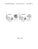 Immunological Targeting of Pathological Tau Proteins diagram and image