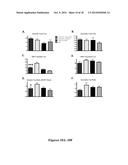 Immunological Targeting of Pathological Tau Proteins diagram and image