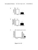 Immunological Targeting of Pathological Tau Proteins diagram and image