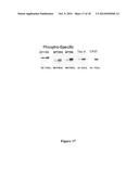 Immunological Targeting of Pathological Tau Proteins diagram and image