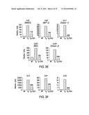 BIOMARKERS FOR TSLP TREATMENT diagram and image