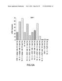 BIOMARKERS FOR TSLP TREATMENT diagram and image