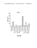 BIOMARKERS FOR TSLP TREATMENT diagram and image