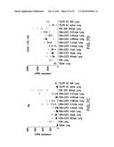 BIOMARKERS FOR TSLP TREATMENT diagram and image