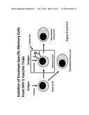 HERPES SIMPLEX VIRUS diagram and image