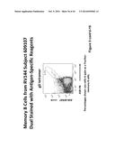 HERPES SIMPLEX VIRUS diagram and image