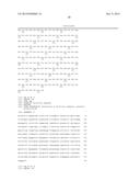 HERPES SIMPLEX VIRUS diagram and image