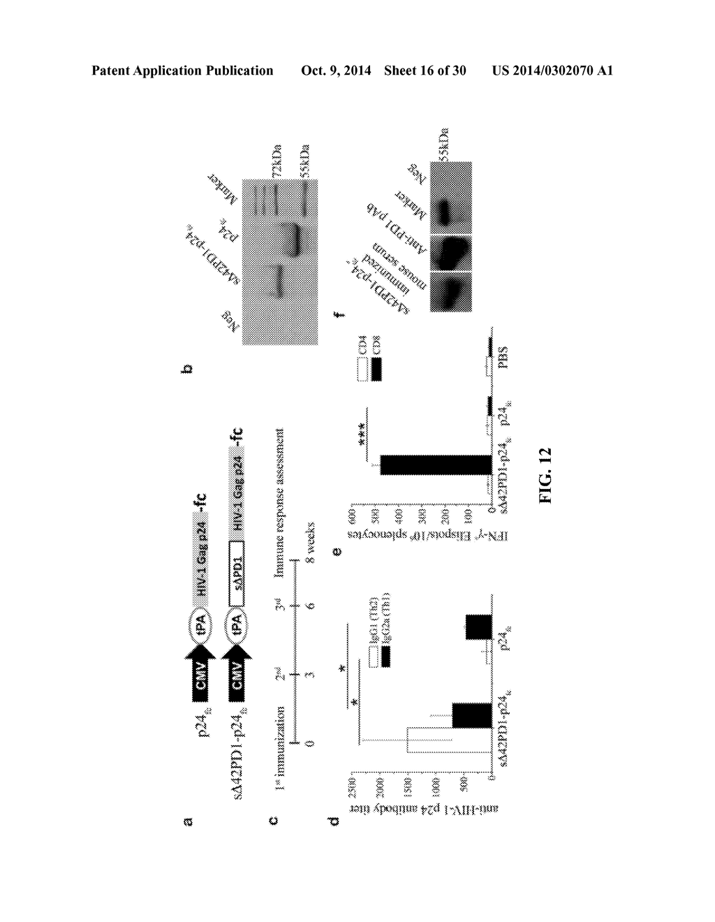 NOVEL PD1 ISOFORMS, AND USES THEREOF FOR POTENTIATING IMMUNE RESPONSES - diagram, schematic, and image 17