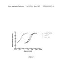 ASPARTYL-TRNA SYNTHETASES diagram and image