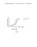 ASPARTYL-TRNA SYNTHETASES diagram and image