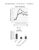 ASPARTYL-TRNA SYNTHETASES diagram and image