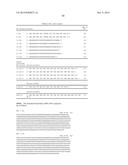 ASPARTYL-TRNA SYNTHETASES diagram and image