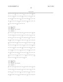 ASPARTYL-TRNA SYNTHETASES diagram and image