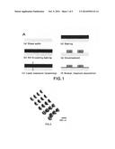 Magnetic field-controlled movable bio-scaffold and constructing method     thereof diagram and image