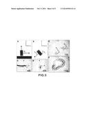 Magnetic field-controlled movable bio-scaffold and constructing method     thereof diagram and image