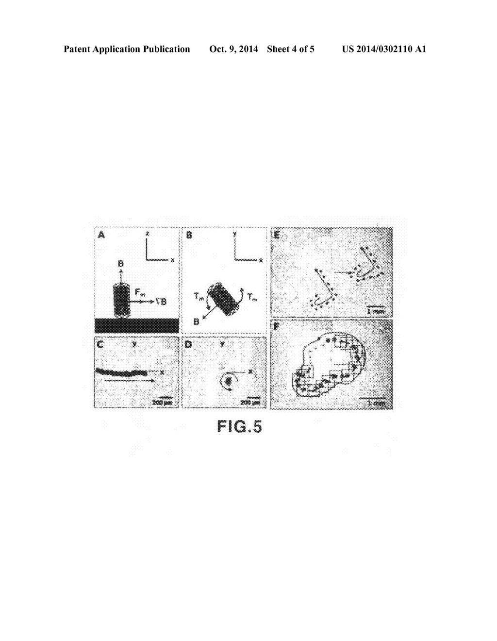 Magnetic field-controlled movable bio-scaffold and constructing method     thereof - diagram, schematic, and image 05