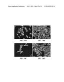 SILICA-MATRIX FORMING COMPOSITIONS, MATERIALS FORMED THEREFROM, AND     METHODS OF USING THE SAME diagram and image