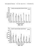 SILICA-MATRIX FORMING COMPOSITIONS, MATERIALS FORMED THEREFROM, AND     METHODS OF USING THE SAME diagram and image