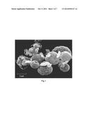 RESPIRABLE AGGLOMERATES OF POROUS CARRIER PARTICLES AND MICRONIZED DRUG diagram and image