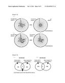 Cysteine Peptide-Containing Health Drink diagram and image