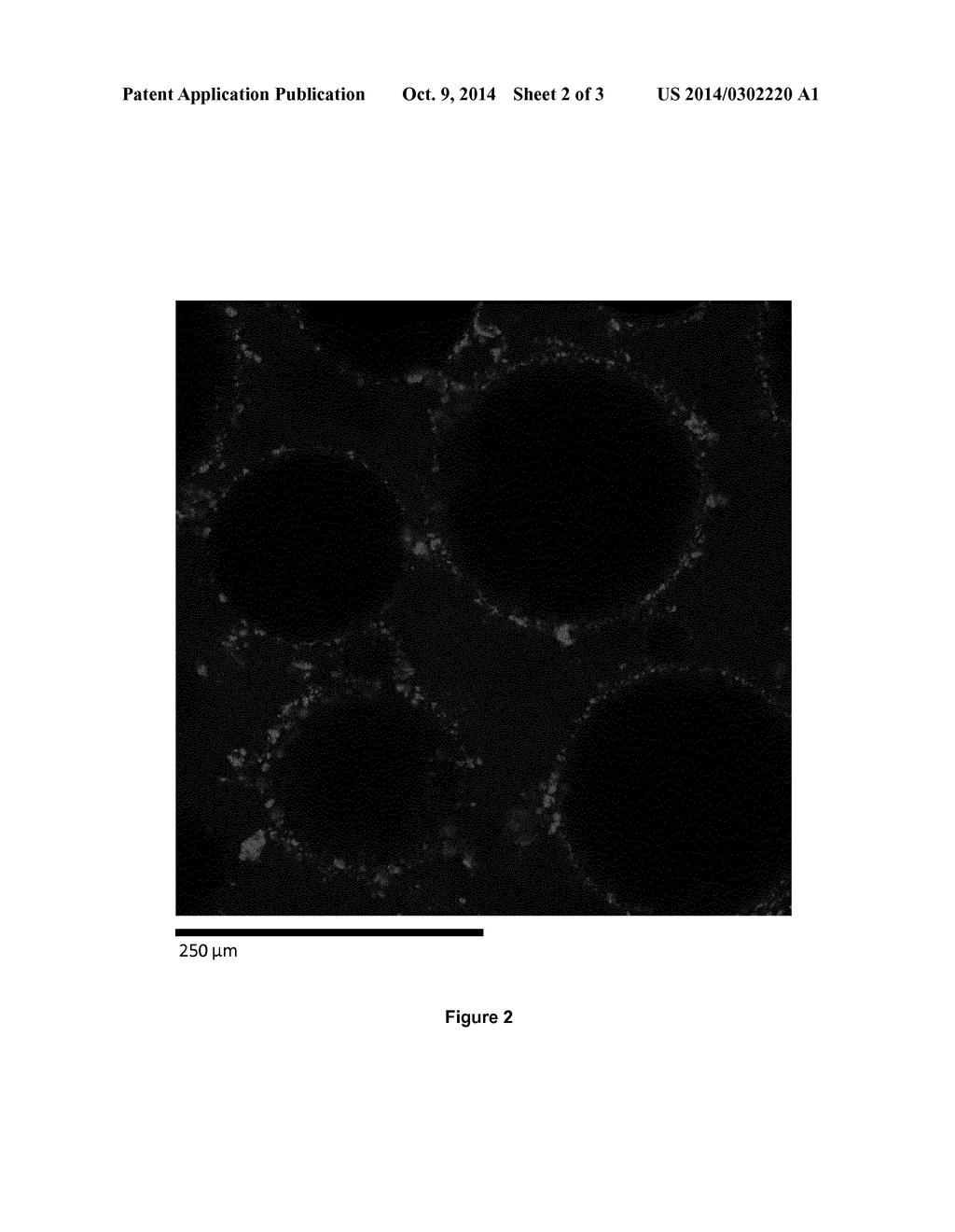 EMULSION STABILISATION - diagram, schematic, and image 03