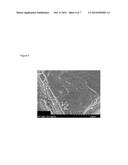 NONAQUEOUS ELECTROLYTE COMPOSITIONS diagram and image