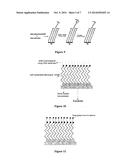 METHOD OF DETECTING AND/OR QUALIFYING AN ANALYTE IN A BIOLOGICAL SAMPLE diagram and image