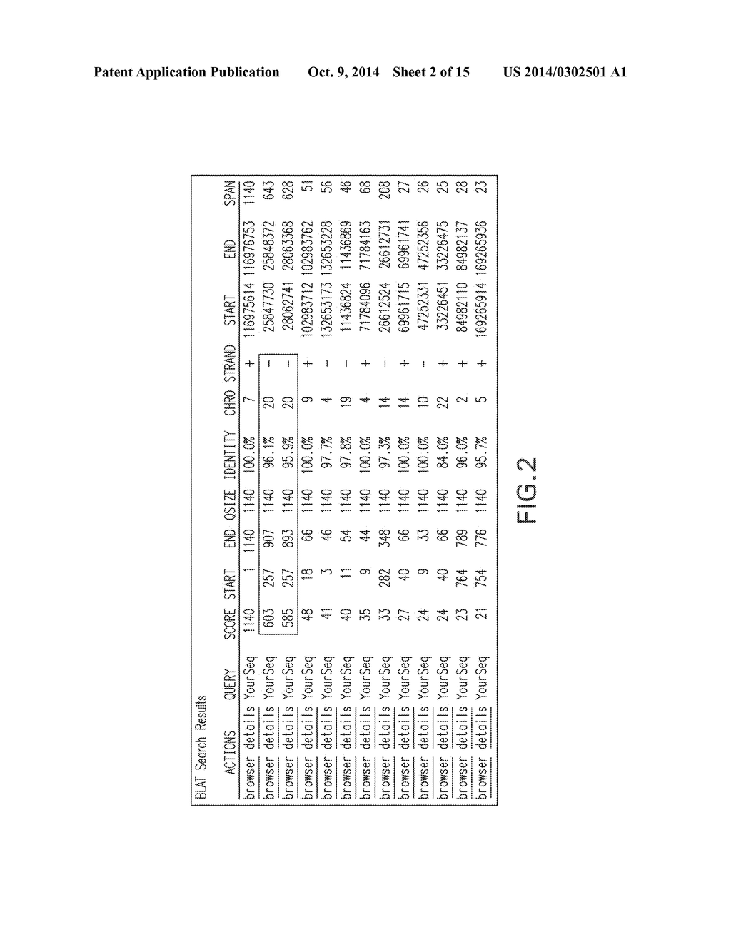 MUTATION DETECTION IN HIGHLY HOMOLOGOUS GENOMIC REGIONS - diagram, schematic, and image 03