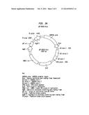 GENOTOXICITY TESTING diagram and image