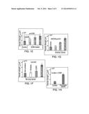 CANCER SCREENING BY DETECTION OF ULTRASTRUCTURAL AND MOLECULAR MARKERS diagram and image