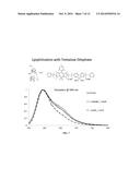 POLYMER DOT COMPOSITIONS AND RELATED METHODS diagram and image