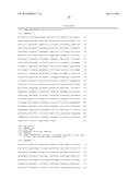 ANTI-IDIOTYPE ANTIBODY AGAINST ANTI-C-MET ANTIBODY diagram and image