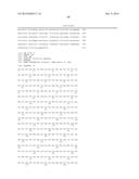 ANTI-IDIOTYPE ANTIBODY AGAINST ANTI-C-MET ANTIBODY diagram and image