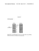 Small-Molecule Hydrophobic Tagging of Fusion Proteins and Induced     Degradation of Same diagram and image