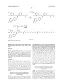 Small-Molecule Hydrophobic Tagging of Fusion Proteins and Induced     Degradation of Same diagram and image