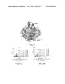 METHODS OF IDENTIFYING SENP1 INHIBITORS diagram and image