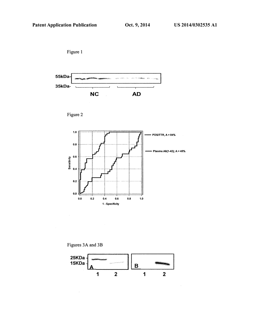 PROCESS FOR DETECTION OF ALZHEIMER'S DISEASE FROM A SERUM SAMPLE - diagram, schematic, and image 02