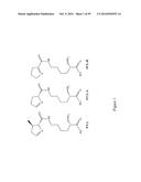 BIOSYNTHETICALLY GENERATED PYRROLINE-CARBOXY-LYSINE AND SITE SPECIFIC     PROTEIN MODIFICATIONS VIA CHEMICAL DERIVATIZATION OF     PYRROLINE-CARBOXY-LYSINE AND PYRROLYSINE RESIDUES diagram and image