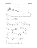 BIOSYNTHETICALLY GENERATED PYRROLINE-CARBOXY-LYSINE AND SITE SPECIFIC     PROTEIN MODIFICATIONS VIA CHEMICAL DERIVATIZATION OF     PYRROLINE-CARBOXY-LYSINE AND PYRROLYSINE RESIDUES diagram and image
