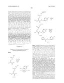 BIOSYNTHETICALLY GENERATED PYRROLINE-CARBOXY-LYSINE AND SITE SPECIFIC     PROTEIN MODIFICATIONS VIA CHEMICAL DERIVATIZATION OF     PYRROLINE-CARBOXY-LYSINE AND PYRROLYSINE RESIDUES diagram and image