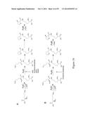 BIOSYNTHETICALLY GENERATED PYRROLINE-CARBOXY-LYSINE AND SITE SPECIFIC     PROTEIN MODIFICATIONS VIA CHEMICAL DERIVATIZATION OF     PYRROLINE-CARBOXY-LYSINE AND PYRROLYSINE RESIDUES diagram and image