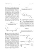 BIOSYNTHETICALLY GENERATED PYRROLINE-CARBOXY-LYSINE AND SITE SPECIFIC     PROTEIN MODIFICATIONS VIA CHEMICAL DERIVATIZATION OF     PYRROLINE-CARBOXY-LYSINE AND PYRROLYSINE RESIDUES diagram and image