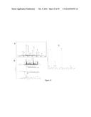 BIOSYNTHETICALLY GENERATED PYRROLINE-CARBOXY-LYSINE AND SITE SPECIFIC     PROTEIN MODIFICATIONS VIA CHEMICAL DERIVATIZATION OF     PYRROLINE-CARBOXY-LYSINE AND PYRROLYSINE RESIDUES diagram and image