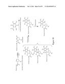 BIOSYNTHETICALLY GENERATED PYRROLINE-CARBOXY-LYSINE AND SITE SPECIFIC     PROTEIN MODIFICATIONS VIA CHEMICAL DERIVATIZATION OF     PYRROLINE-CARBOXY-LYSINE AND PYRROLYSINE RESIDUES diagram and image